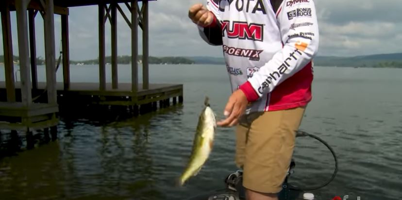 Bass Fishing on Dock Feature image