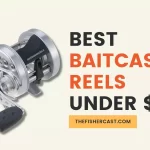 11 Best Baitcasting Reels under $100 [2023 Reviews]