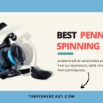 8 Best Penn Spinning Reels [2023]
