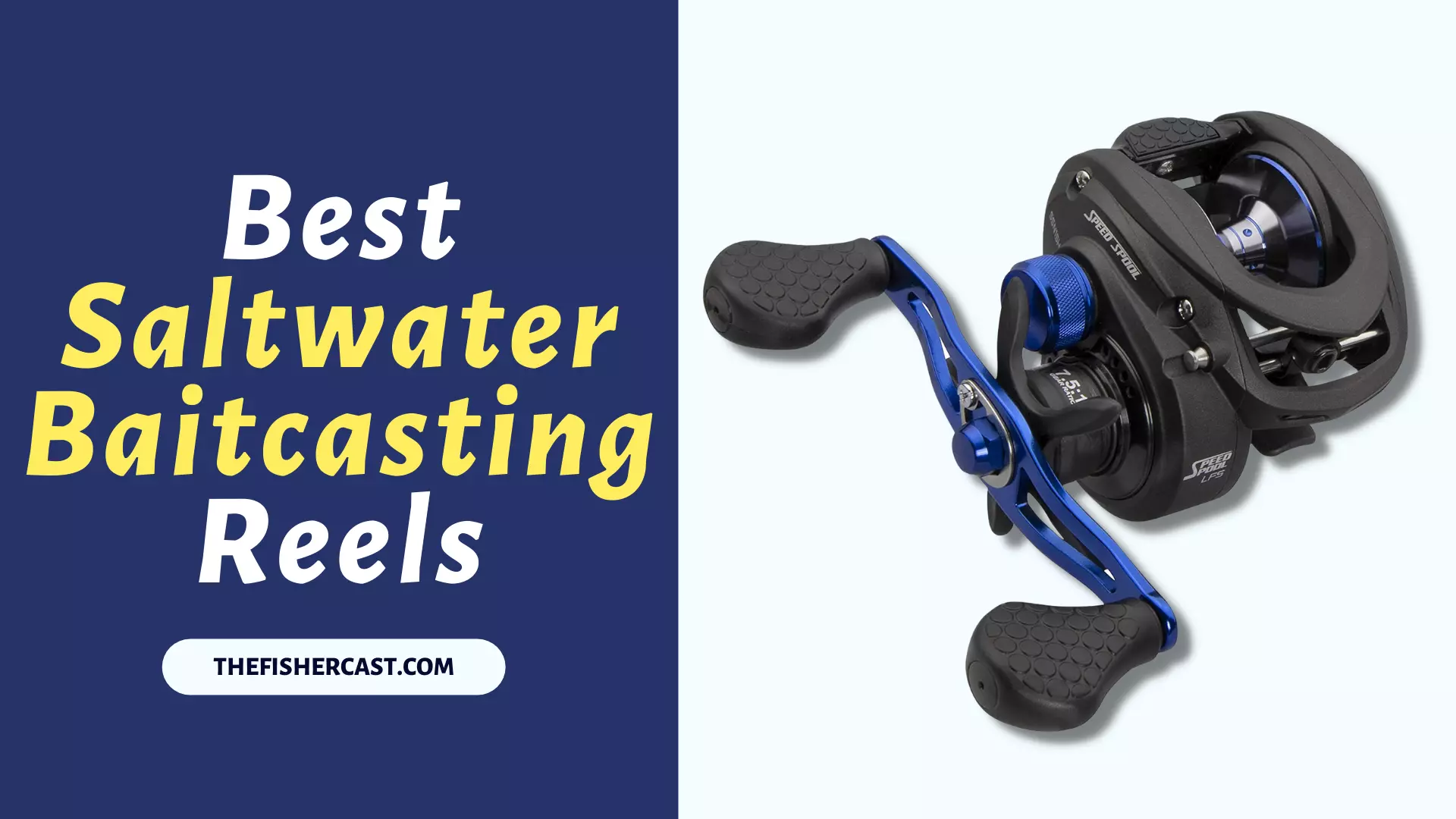 Best Saltwater Baitcasting Reels