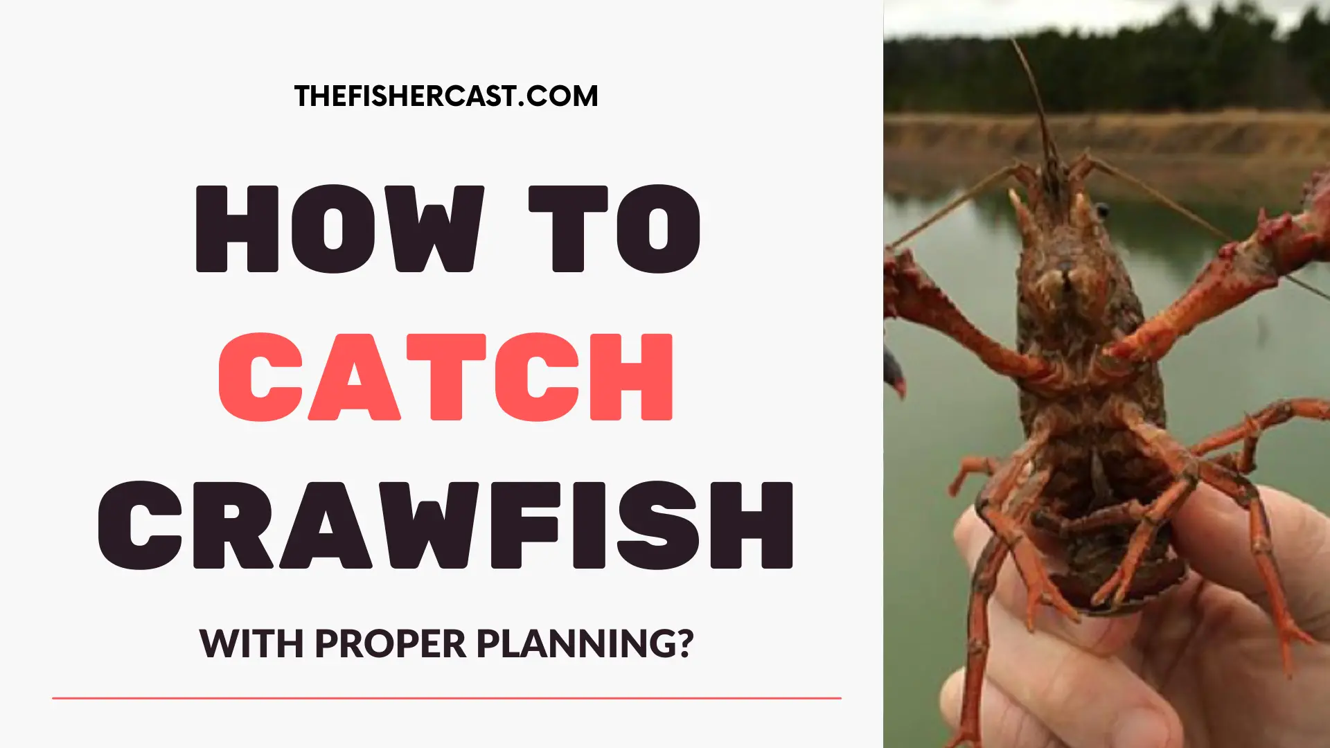 How to catch Crawfish