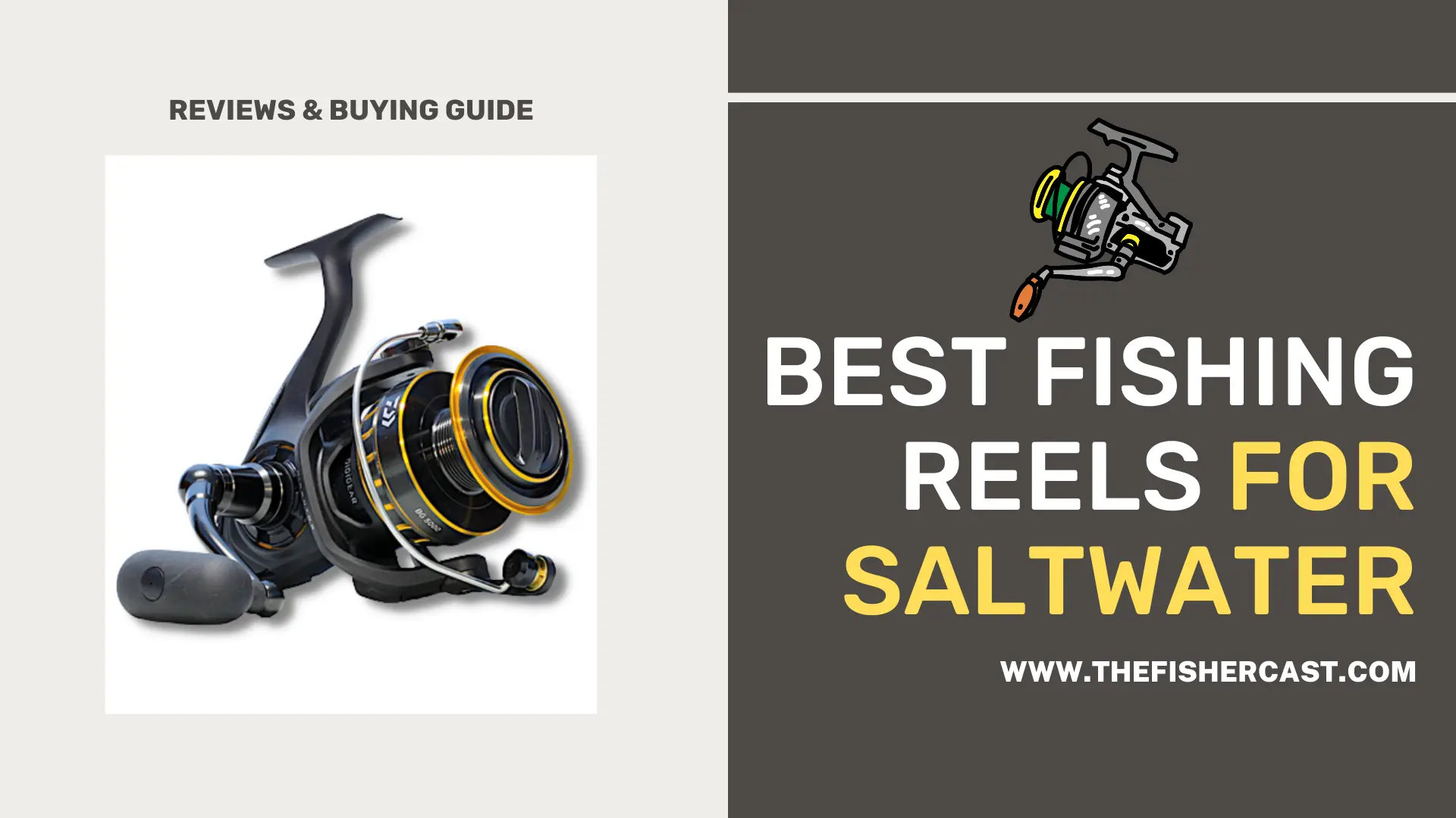 Best Fishing Reels for Saltwater