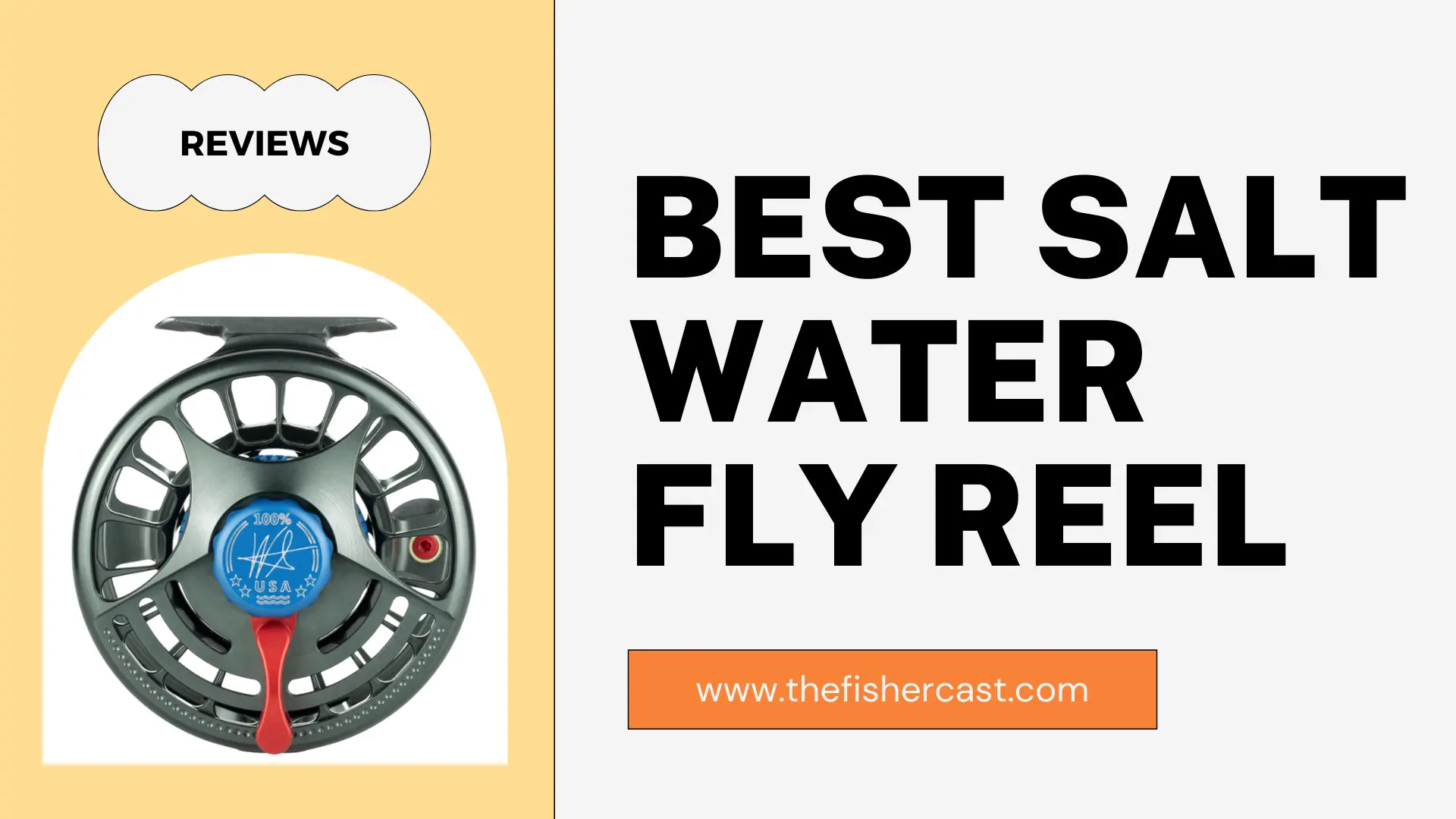 Best Salt Water Fly Reel