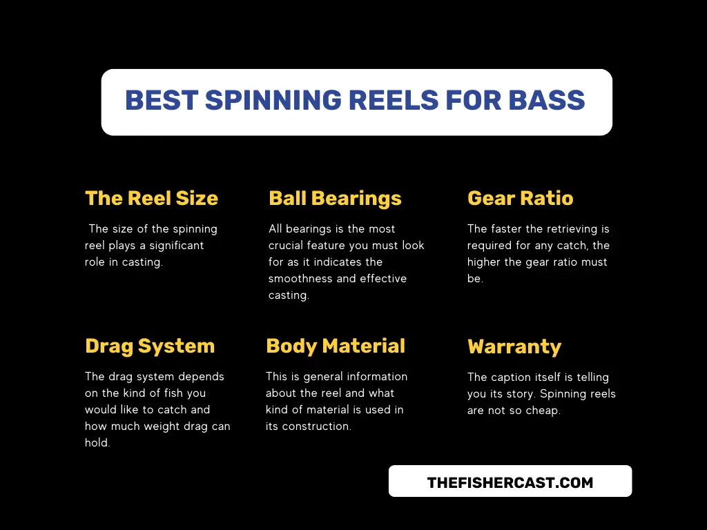 BUYING GUIDE FOR BEST SPINNING REELS