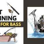 9 Best Spinning Reels For Bass in 2023: Reviews & Guide