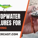 Best Topwater Frog Lures for Bass Fishing