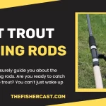 Best Trout Fishing Rods of 2023 - Flexible & Durable