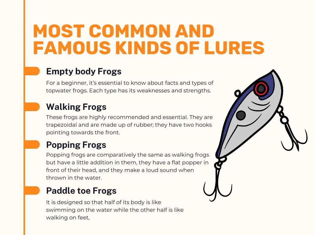 Most Common & Famous Kinds of Lures
