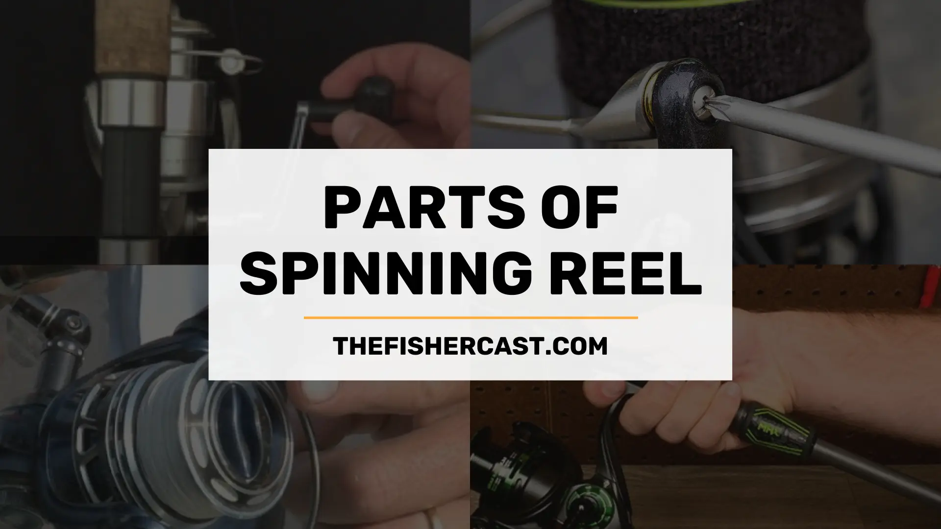 Parts of Spinning Reel