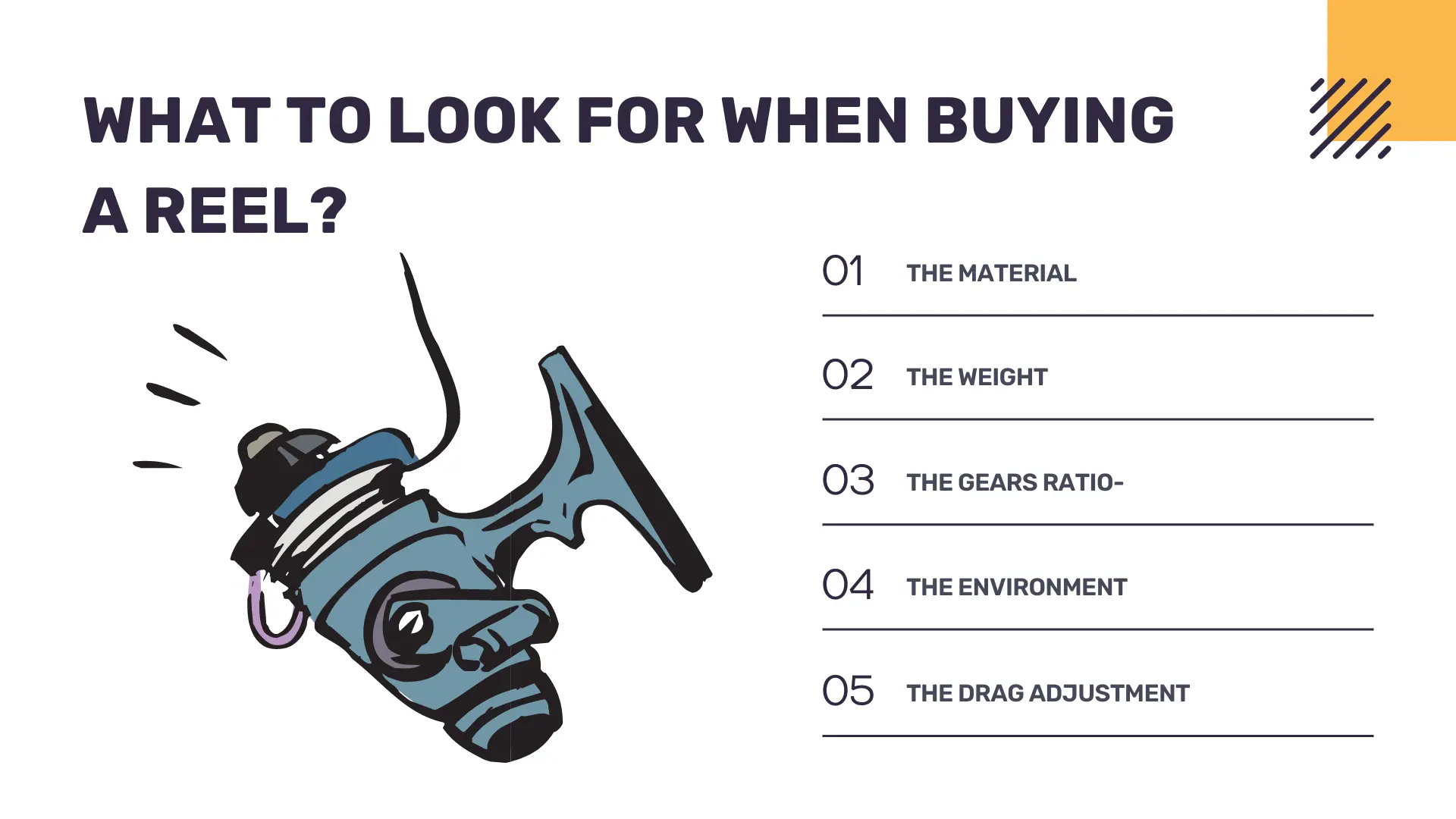 What To Look For When Buying A Reel