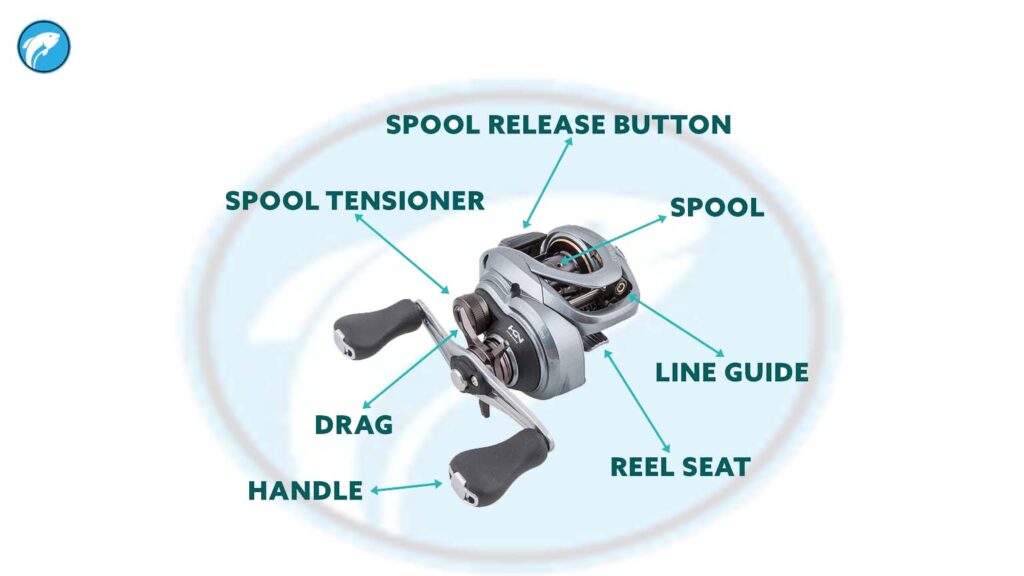 parts-of-a-baitcasting-reel