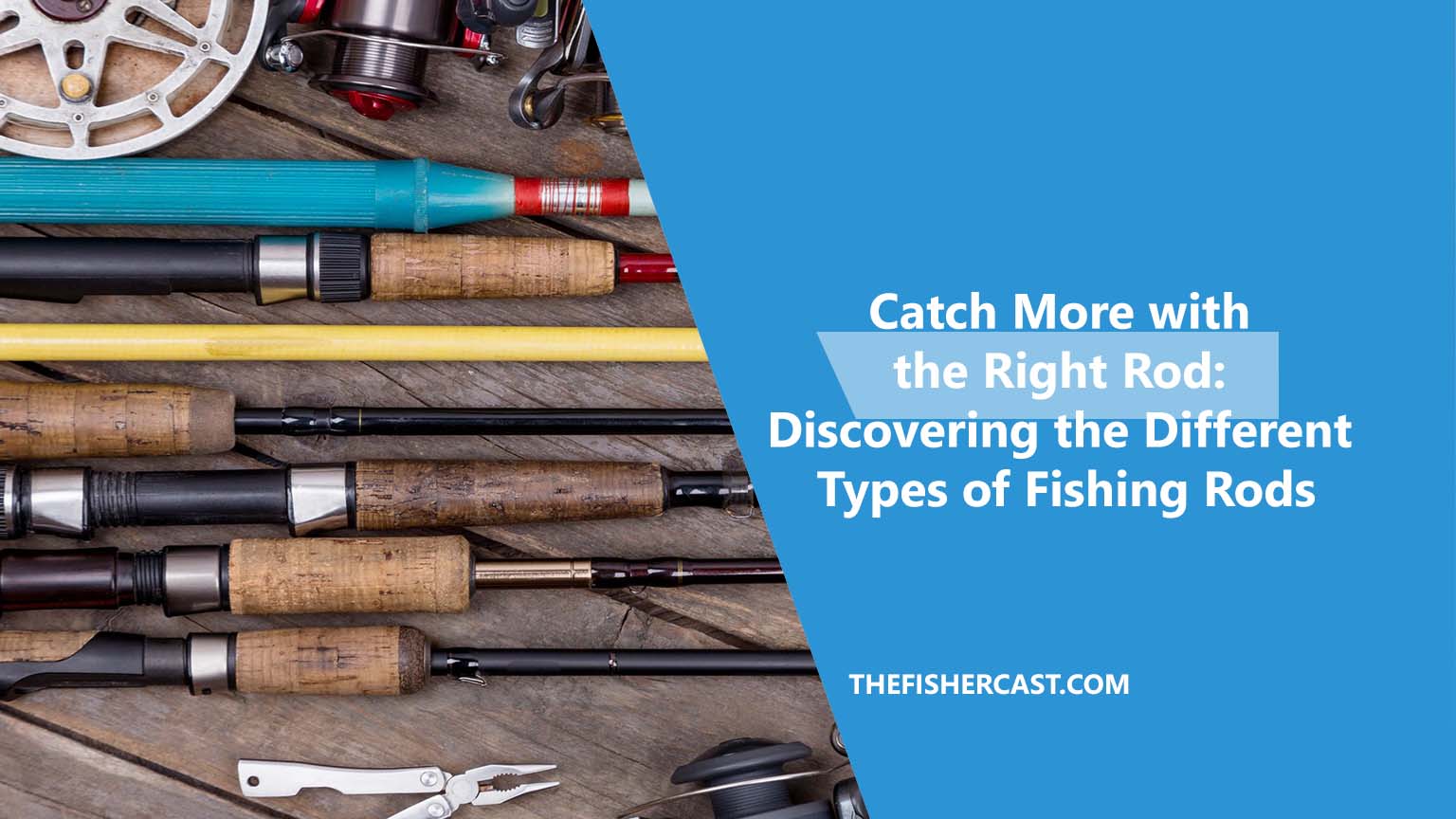 type-of-fishing-rods