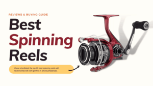 10 Best Spinning Reels