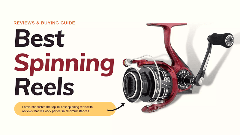 10 Best Spinning Reels
