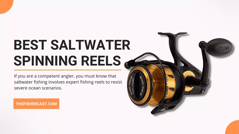 Best Saltwater Spinning Reels 