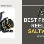 Best Fishing Reels for Saltwater