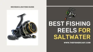 Best Fishing Reels for Saltwater