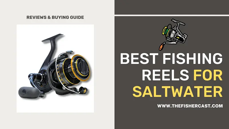 Best Fishing Reels for Saltwater