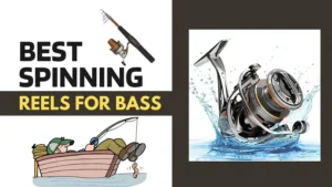 Best Spinning Reel for Bass