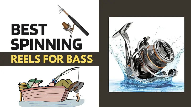 Best Spinning Reel for Bass