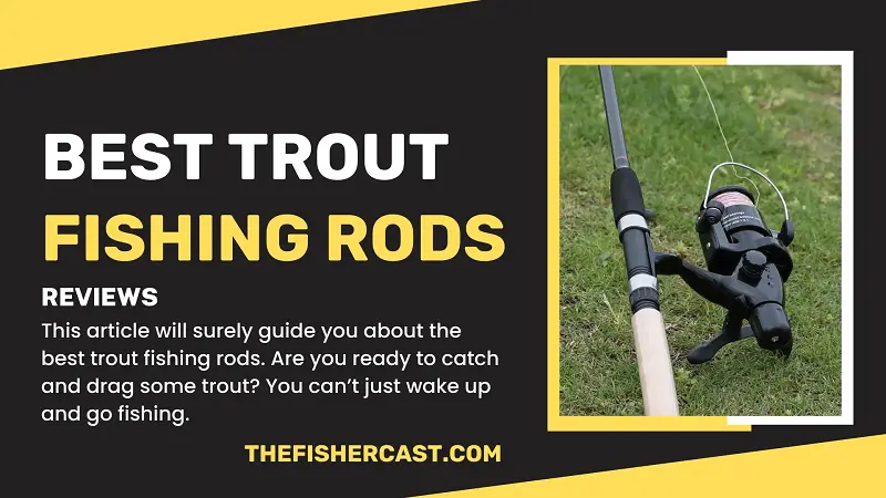 Best Trout Fishing Rods