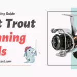 Best Trout Spinning Reels