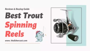 Best Trout Spinning Reels