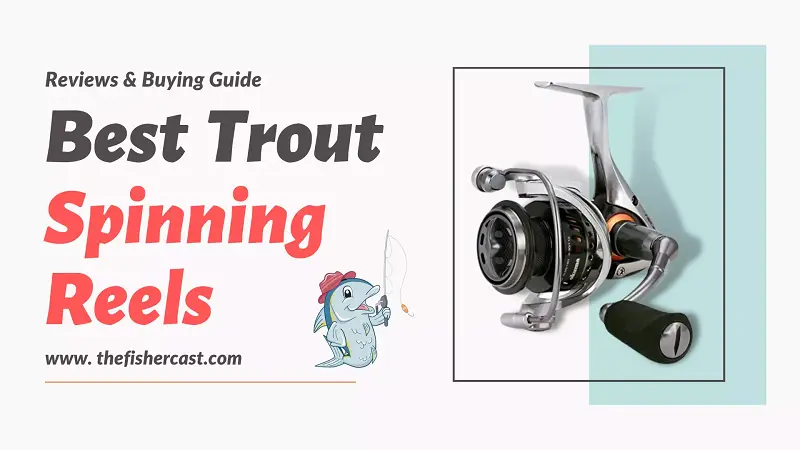 Best Trout Spinning Reels