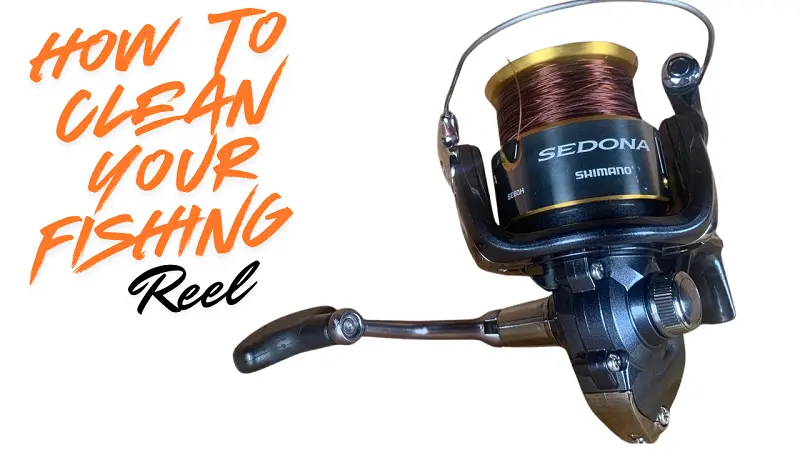 How to Clean Your Fishing Reel 