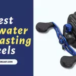 Best Saltwater Baitcasting Reels
