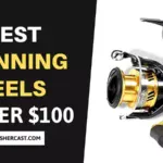 Best Spinning Reels Under 100