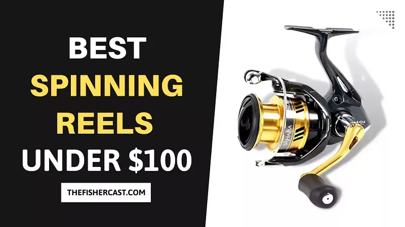 Best Spinning Reels Under 100