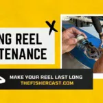 Fishing Reel Maintenance