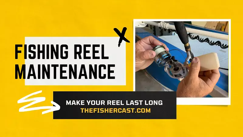 Fishing Reel Maintenance