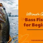 Fishing Tips for Bass How to Catch Bass