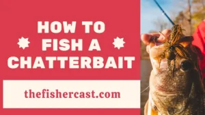 How to Fish a Chatterbait