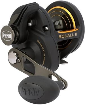 PENN Squall II Level Wind Conventional Fishing Reel